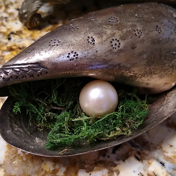 🥰 silver toned conch shell with pearl - Picture 5 of 5